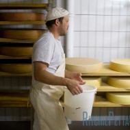 The cheesemaker
